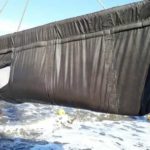 Первые касатки и булухи отпущены из китовой тюрьмы\ фото пресс-служба ВНИРО