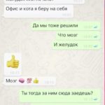 Появилась переписка об инсценировке Алибасовым своего отравления