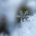 Первые заморозки ожидаются сегодняшней ночью в Москве