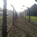 Продолжается парад гитлеровских недобитков в ЕС