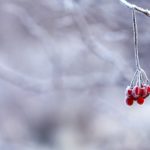 Дан прогноз на предстоящую зиму