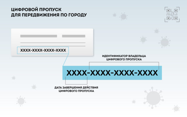 Пропуска в Москве будут цифровыми: разъясняем как оформить, кто имеет право, куда обращаться
