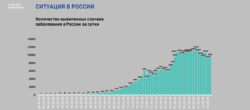 Россия находится на «плато» по коронавирусу