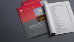 Участвовать может каждый: В РФ проходит зачёт по финансовой грамотности