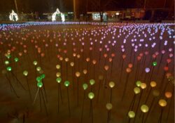 Новогодний подарок москвичам: В новогоднюю ночь проезд в метро и МЦК будет бесплатным