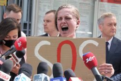 Крик в поддержку протасевича