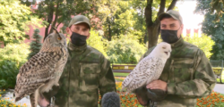Орнитологическая группа Кремля