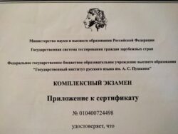 Сертификат для мигрантов на знание русского языка\фото: Tochka Zрения