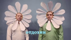 видео с зэками ромашки