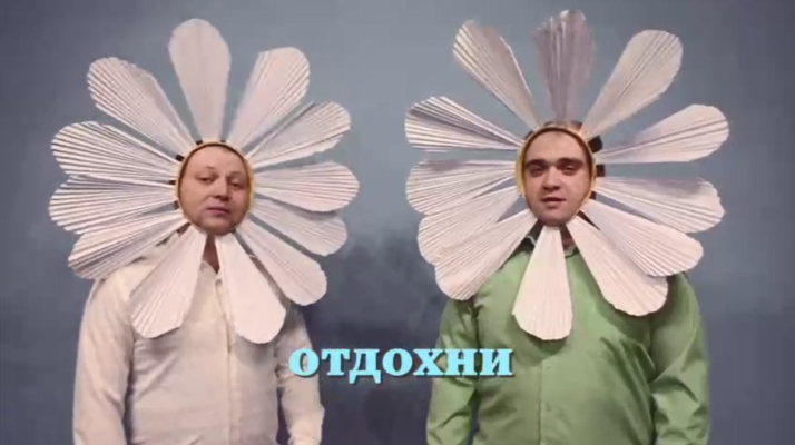 видео с зэками ромашки