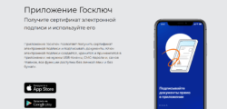 приложение Госключ, скриншот