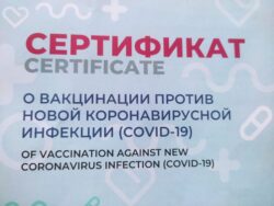 Новый сертификат о вакцинации, фото - Tochka Zрения