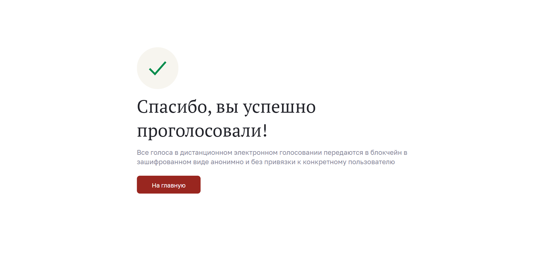 Выборы 2023, фото Tochka Zрения